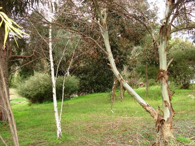 56 Jayes Road, Balingup WA 6253