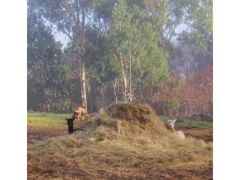 133 Jayes Road, Balingup WA 6253