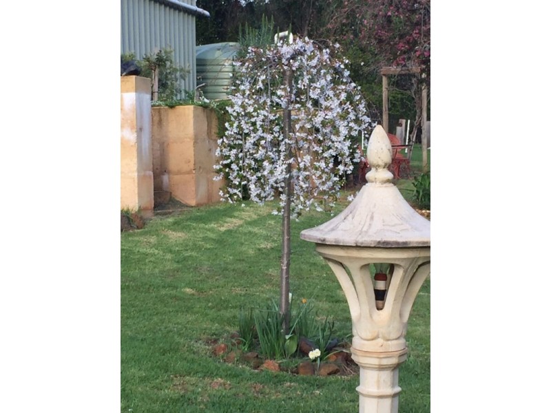 133 Jayes Road, Balingup WA 6253