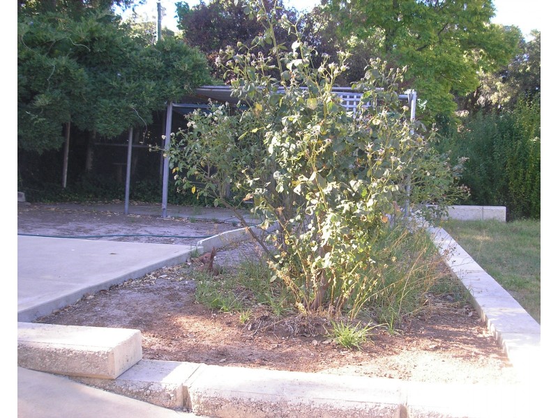 8 Roberts Street, Balingup WA 6253