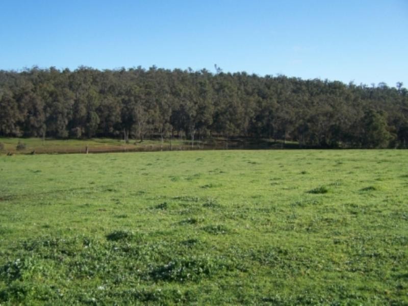 North Greenbushes WA 6254