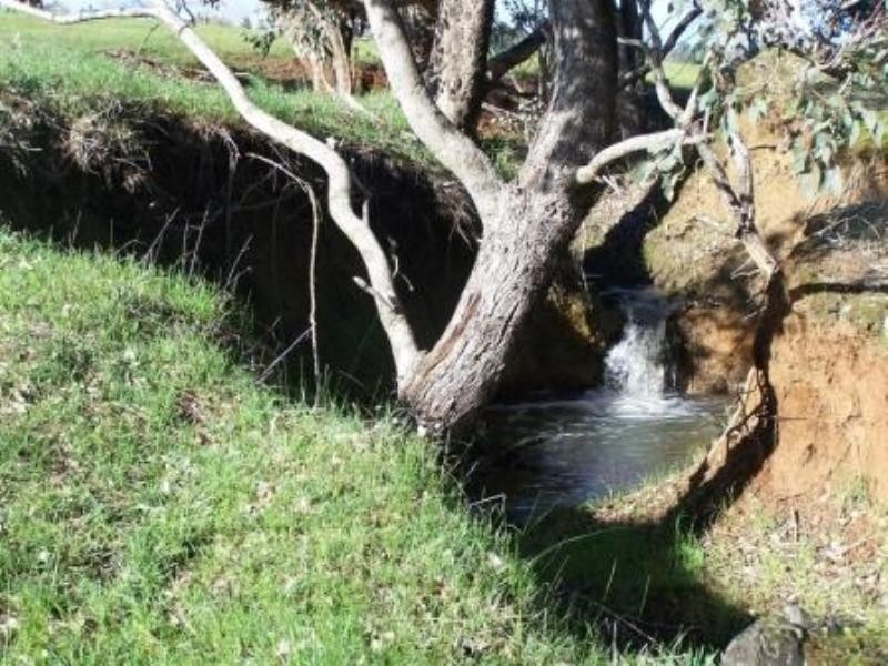 North Greenbushes WA 6254