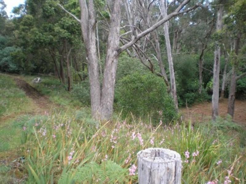 lot 120 Balingup Road, Nannup WA 6275