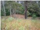 lot 120 Balingup Road, Nannup WA 6275