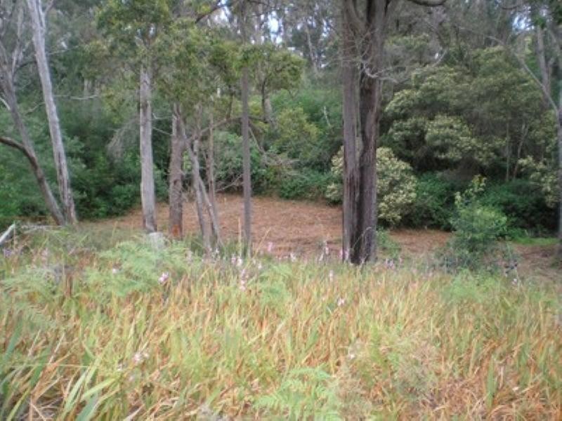 lot 120 Balingup Road, Nannup WA 6275