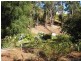 Lot 140 Grimwade Road, Balingup WA 6253