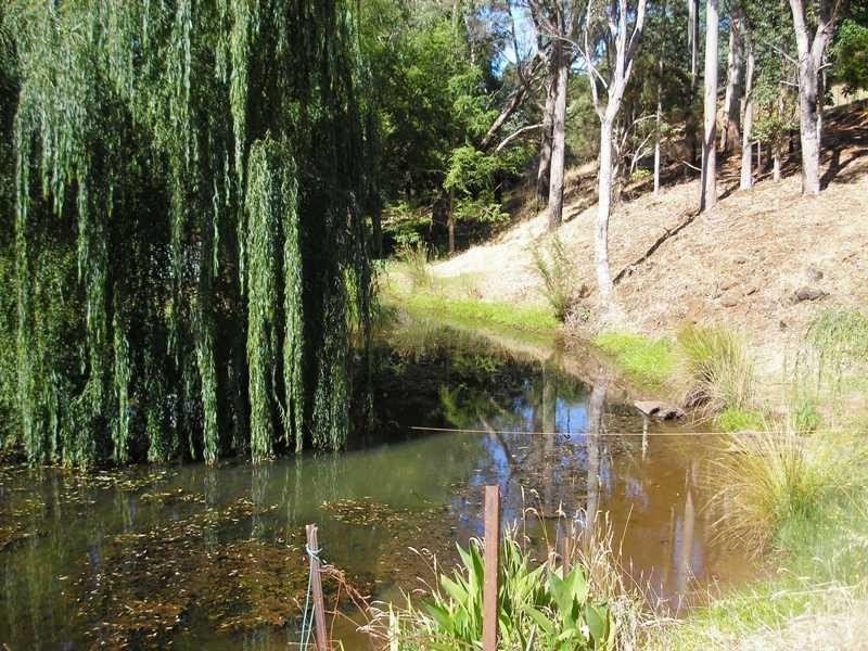 Lot 140 Grimwade Road, Balingup WA 6253