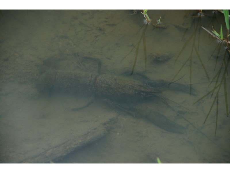 8128 (189) Balingup Nanup Road, Balingup WA 6253