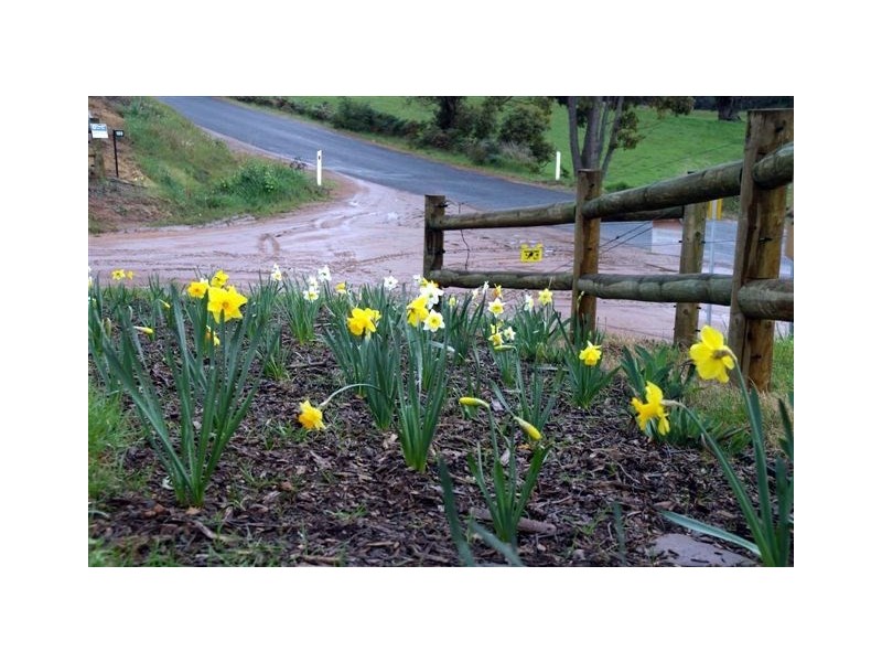 8128 (189) Balingup Nanup Road, Balingup WA 6253