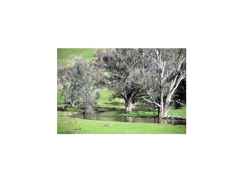 8128 (189) Balingup Nanup Road, Balingup WA 6253