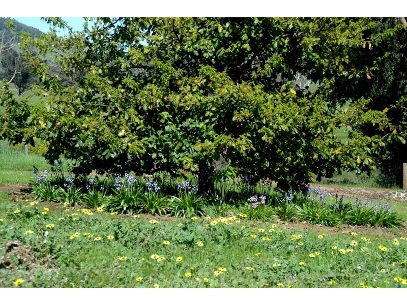 8128 (189) Balingup Nanup Road, Balingup WA 6253