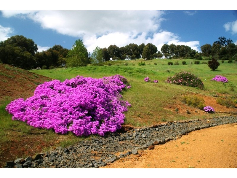 8128 (189) Balingup Nanup Road, Balingup WA 6253