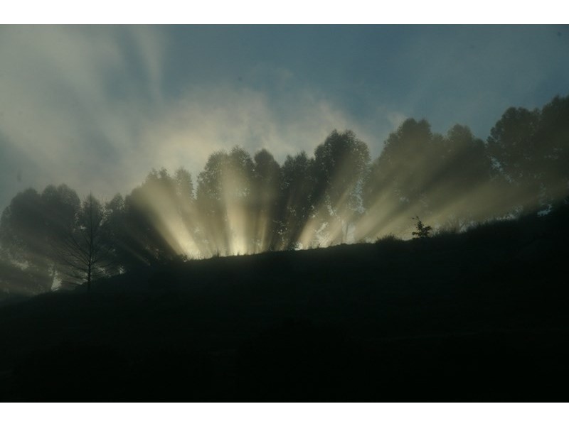 8128 (189) Balingup Nanup Road, Balingup WA 6253