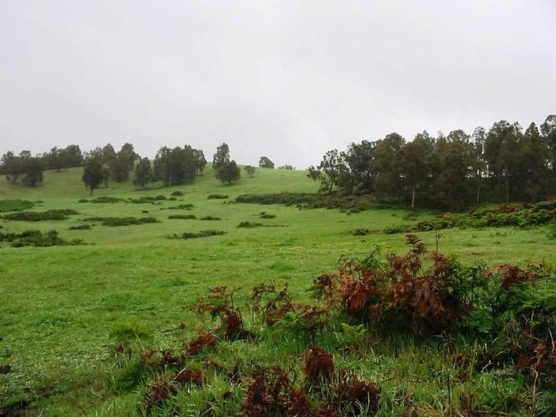 Lot 123 Balinga Drive, Balingup WA 6253