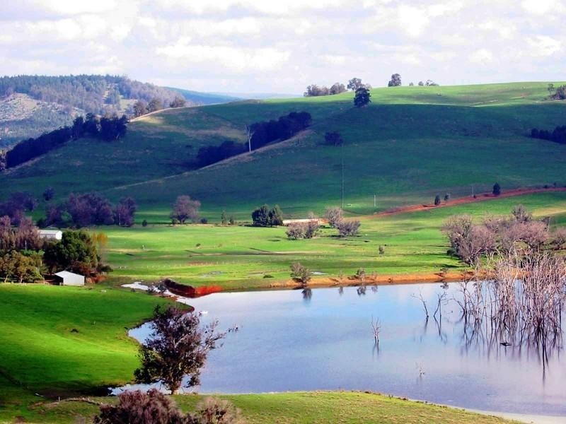 Lot 123 Balinga Drive, Balingup WA 6253