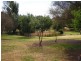 Lot 145 Grimwade Road, Balingup WA 6253