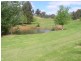 Lot 145 Grimwade Road, Balingup WA 6253