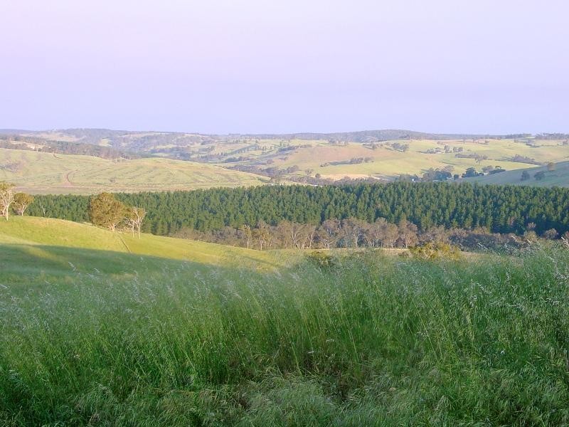 Lot 73 Slades Road, Bridgetown WA 6255