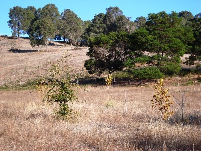 Lot 121 Balinga Drive, Balingup WA 6253