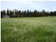 6 Forest View Court, North Greenbushes WA 6254