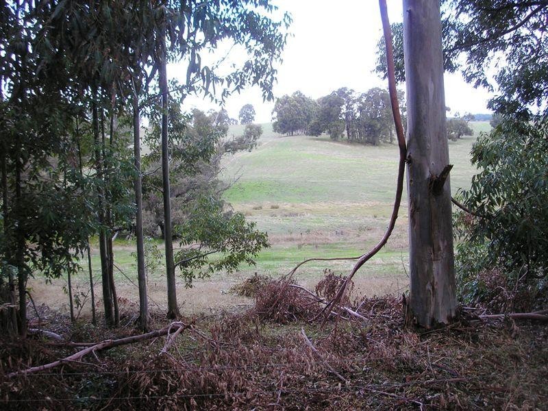 Lot 30 South Western Highway, Balingup WA 6253