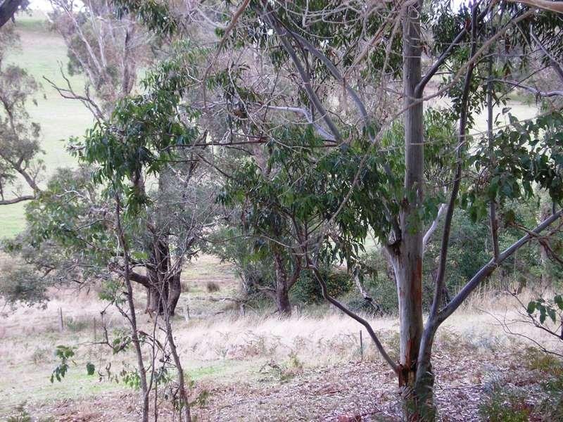 Lot 30 South Western Highway, Balingup WA 6253