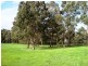 Lot 101 Tweed Road, Bridgetown WA 6255