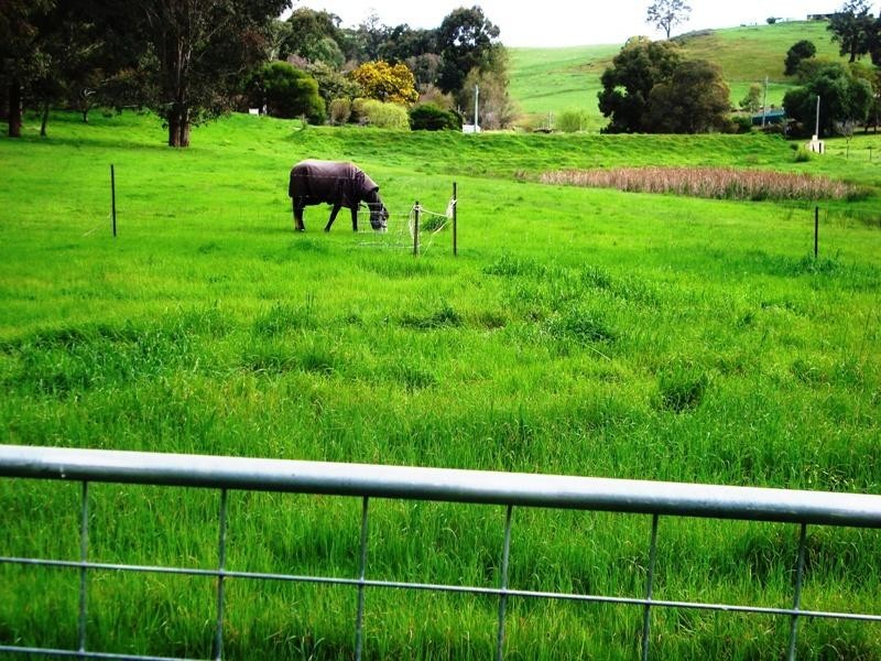 Lot 101 Tweed Road, Bridgetown WA 6255