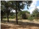 Lot 33 Blackwood River Drive, Nannup WA 6275