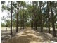 Lot 33 Blackwood River Drive, Nannup WA 6275