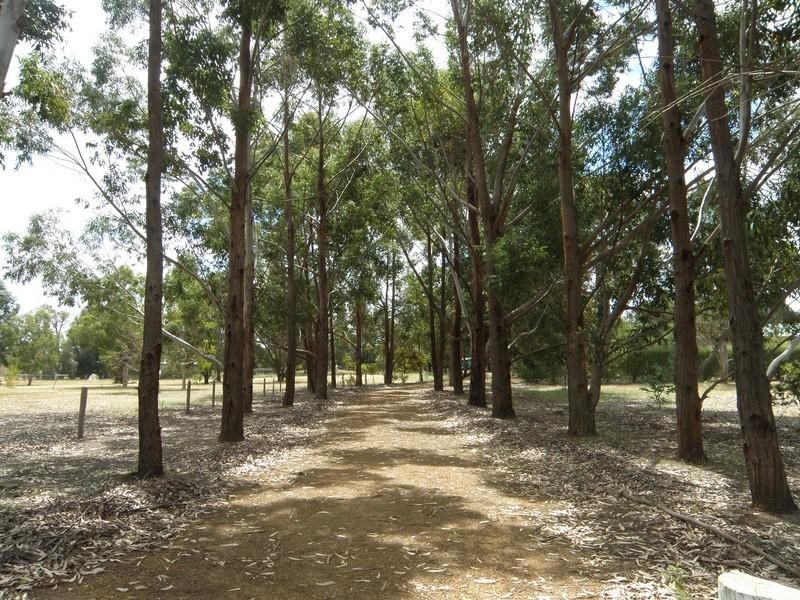 Lot 33 Blackwood River Drive, Nannup WA 6275