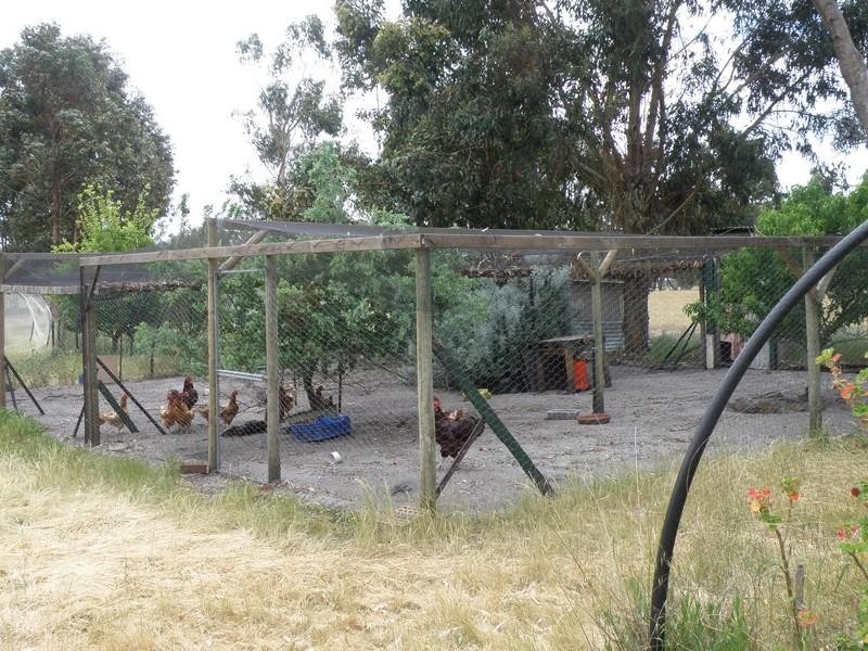 Lot 33 Blackwood River Drive, Nannup WA 6275