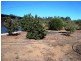 LOT 5/19851 South Western Highway, Newlands WA 6251