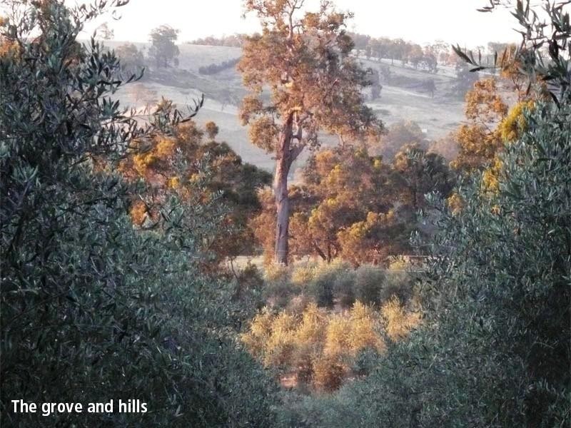 65 Knapton Road, Balingup WA 6253