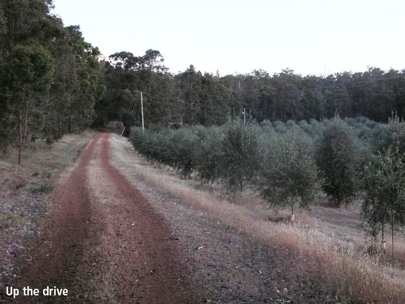 65 Knapton Road, Balingup WA 6253