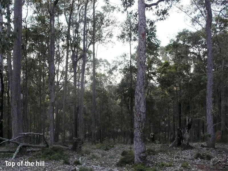 65 Knapton Road, Balingup WA 6253