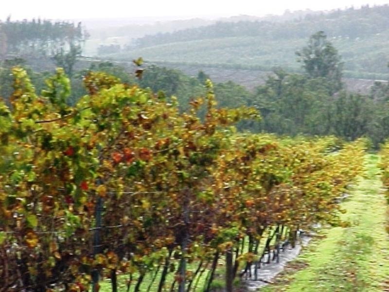 4 Greenbushes-Boyup Brook Road, North Greenbushes WA 6254