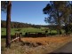 Nannup WA 6275