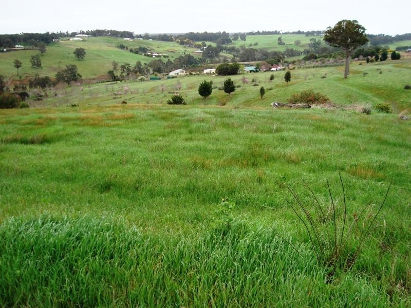 11 Jacaranda Place, Bridgetown WA 6255