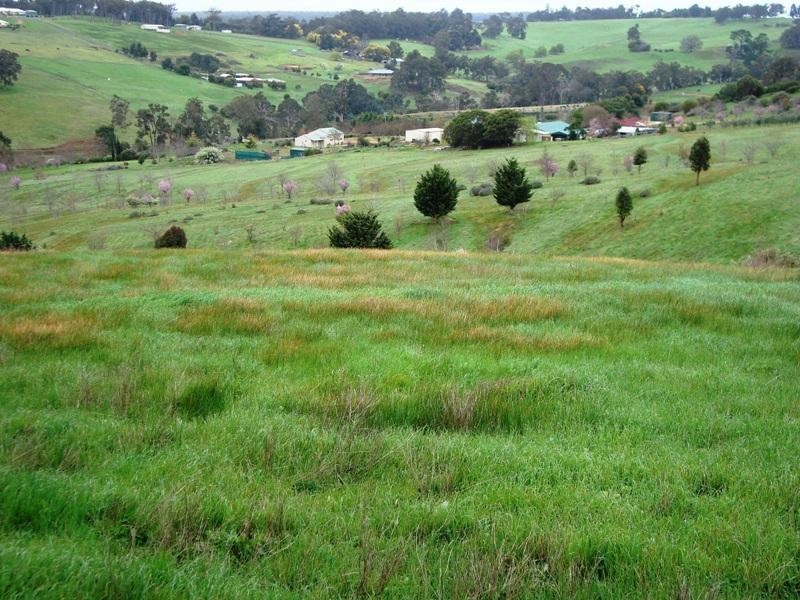 11 Jacaranda Place, Bridgetown WA 6255