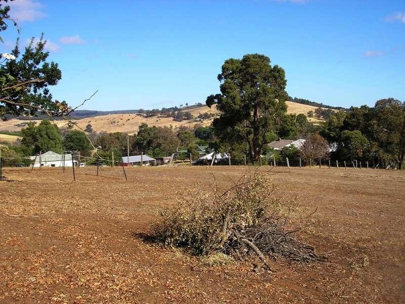 38 and 42 Steere Street, Balingup WA 6253