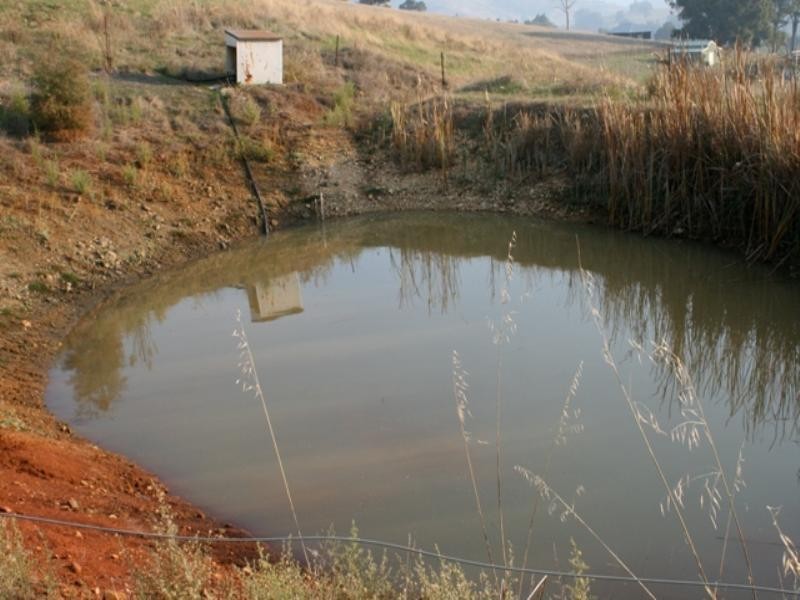 36 Campbell Street, Balingup WA 6253