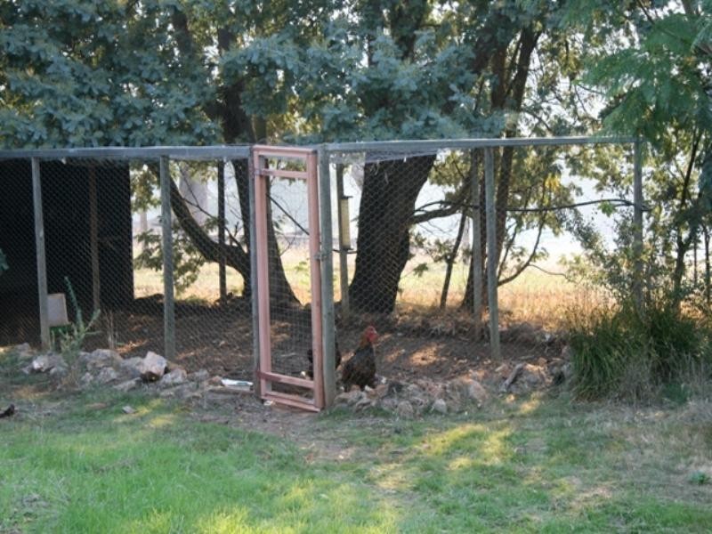 36 Campbell Street, Balingup WA 6253