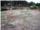 Lot 117 Balinga Drive, Balingup WA 6253