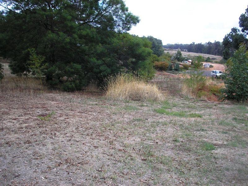 Lot 117 Balinga Drive, Balingup WA 6253