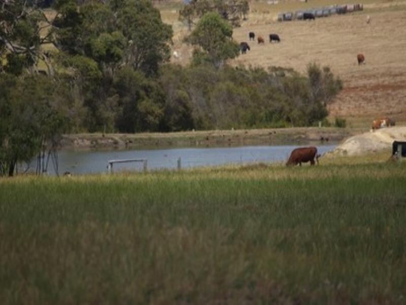Lot 102 Loc 11214 Mt Leuwin Loop Road, Nannup WA 6275