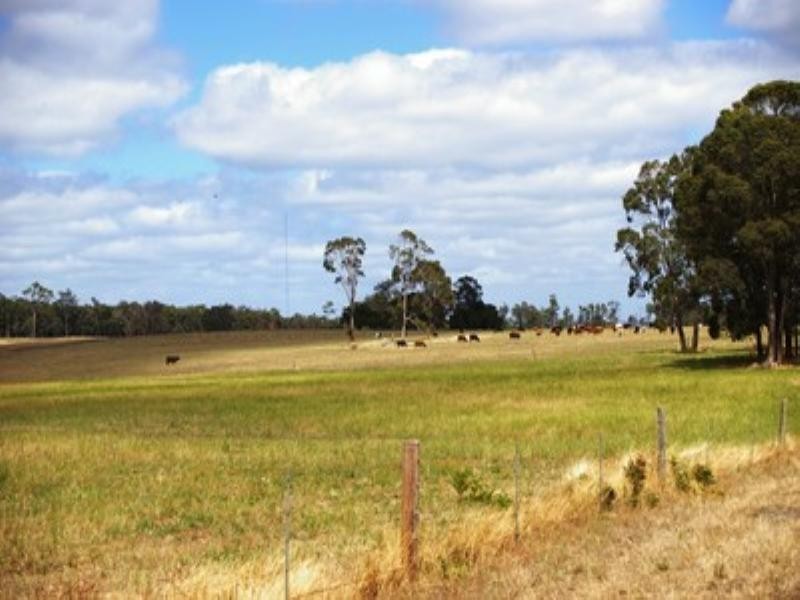 Lot 102 Loc 11214 Mt Leuwin Loop Road, Nannup WA 6275