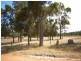 Lot 102 Loc 11214 Mt Leuwin Loop Road, Nannup WA 6275