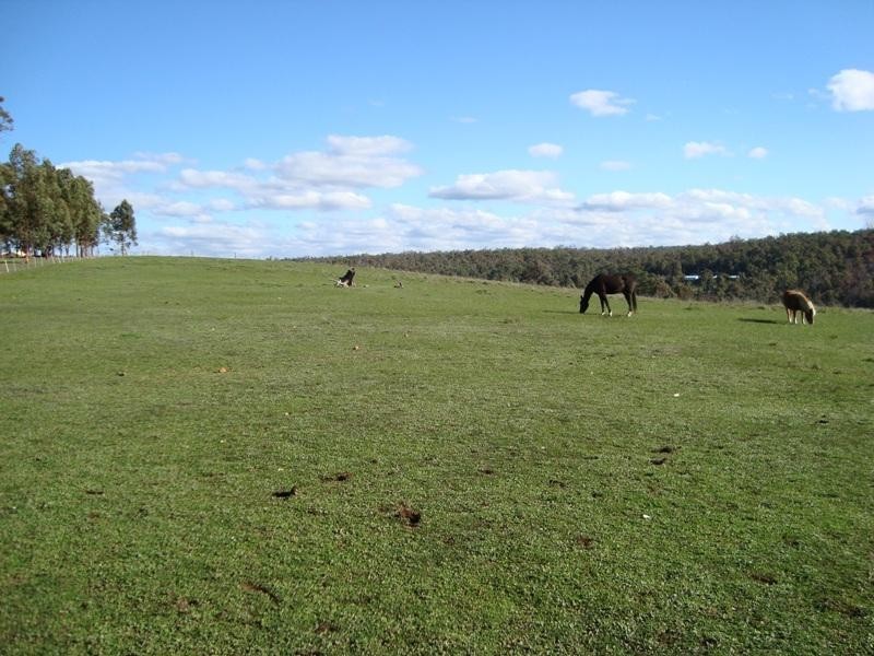 4 Forest View Court, North Greenbushes WA 6254