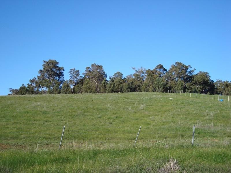 4 Forest View Court, North Greenbushes WA 6254